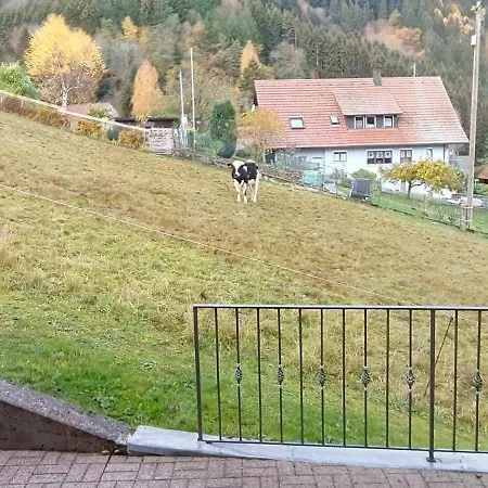 Morgensonne Wolfach